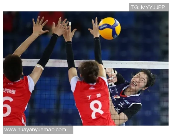 李静的排球人生：从赛场到心灵的对话与反思