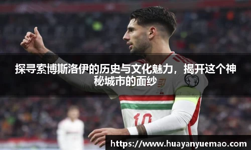 乐盈VI平台