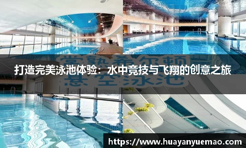 乐盈VI
