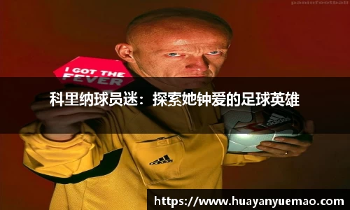 乐盈VI平台